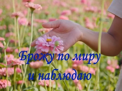Брожу по миру и наблюдаю