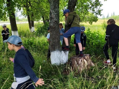 В поисках приключений и клада
